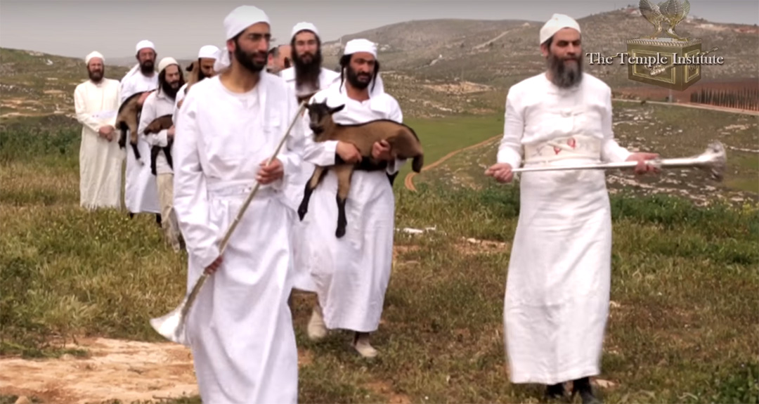 Levitical Priests in training practice the Passover offering.  <em>(Source: Temple Institute Youtube capture)</em>