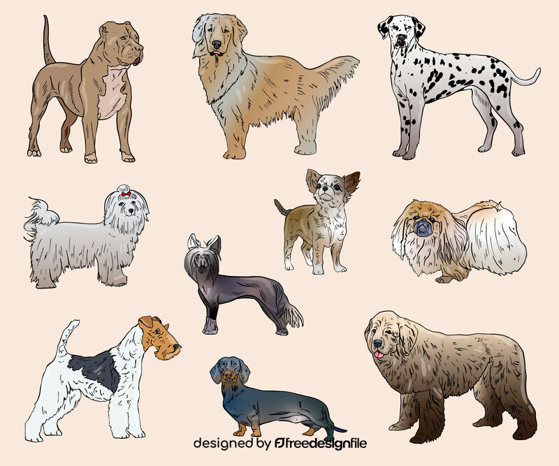 Dog Breeds vector