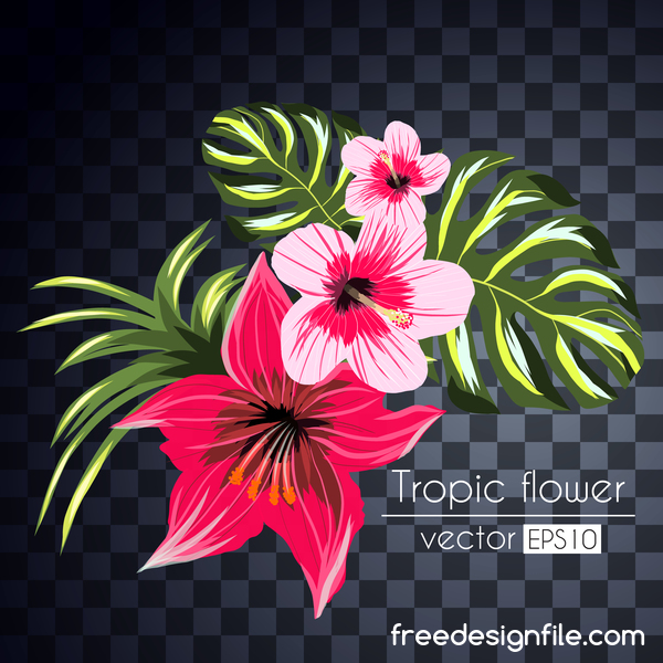 Vector tropical flowers illustration vector 09