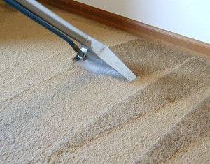 carpet-cleaning