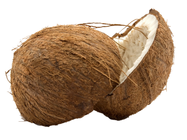 Coconut