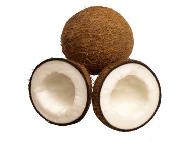 Coconut