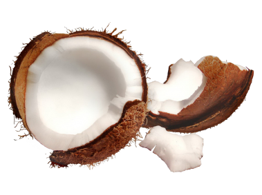 Coconut