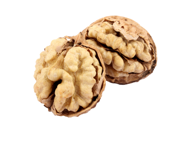 Walnut