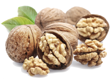 Walnut