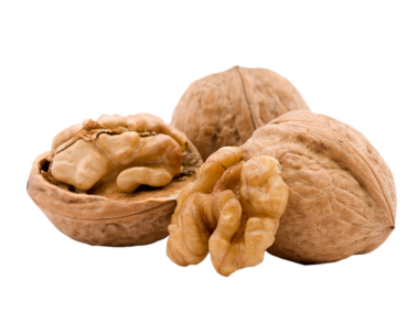 Walnut