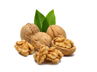 Walnut