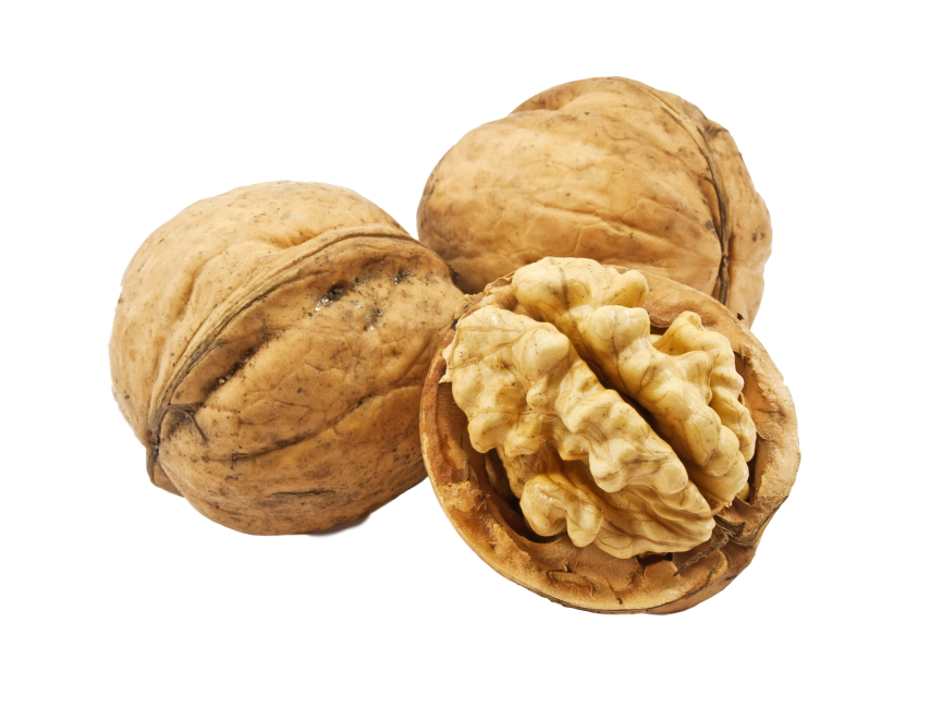 Walnut