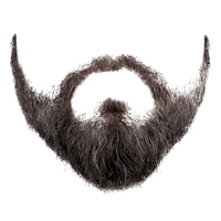 Beard PNG Category