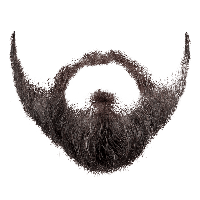 Beard PNG Category