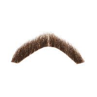 Moustache PNG Category