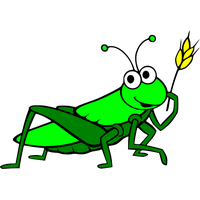 Grasshopper PNG Category