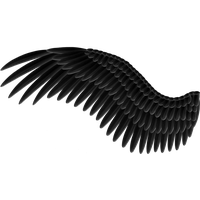 Download Wings Free PNG photo images and clipart | FreePNGImg