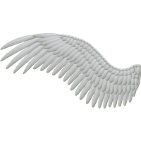 Download Wings Free PNG photo images and clipart | FreePNGImg