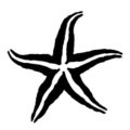 Starfish Stencil