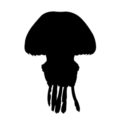 Jellyfish Silhouette Stencil