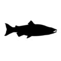 Salmon Silhouette Stencil