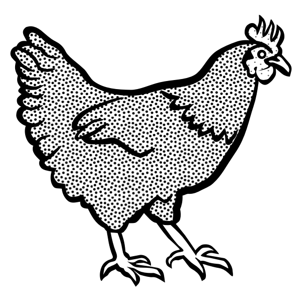 Hen