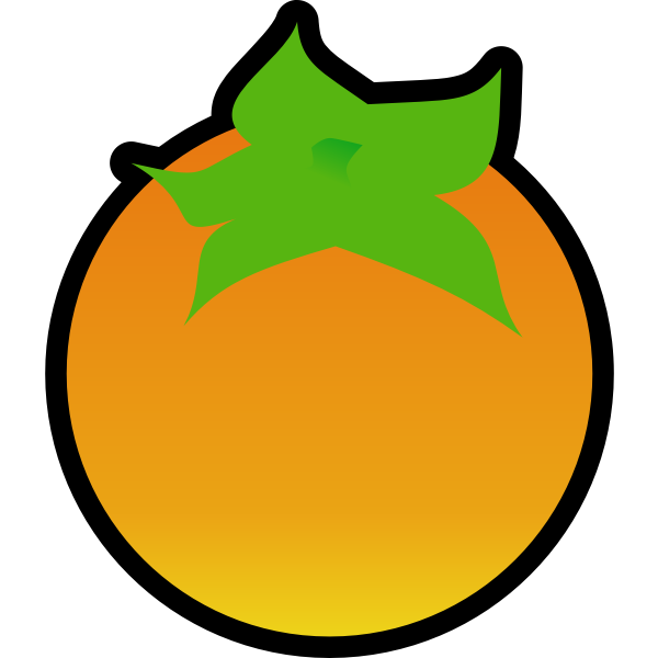 persimmon