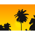 Palm tree silhouette in the sunset