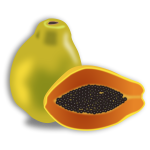 Papaya fruit