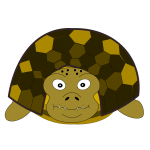 Turtle front