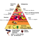 Food Pyramid in German