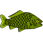 Fish 12