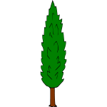 Tree 20