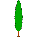 Tree 22