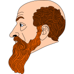 Balding man with a beard