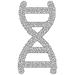 DNA Helix Maze