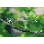 Damselfly (#2)