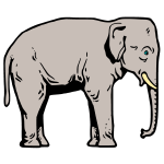 Elephant I