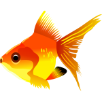 Goldfish vector drawing