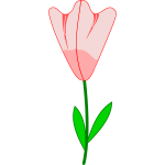 Pink flower vector image