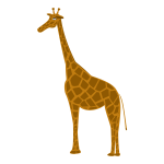 Tall giraffe