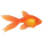 Low Poly Goldfish