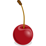 Cherries vector drawing