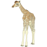 Drawing of Baby Giraffe