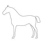 Vector illustration of standing horse outline