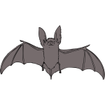 Bat with open wings vector drawing