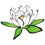 Lotus flower image