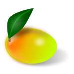 Mango fruit