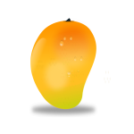 Mango fruit vector image