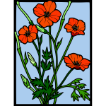 olor poppy frame vector drawing