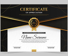 Modern Professional Certificate Template