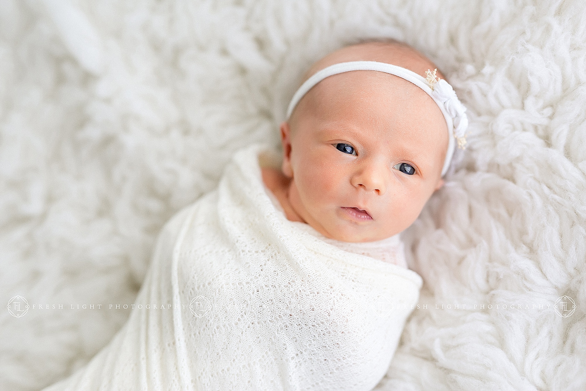 Newborn Photo