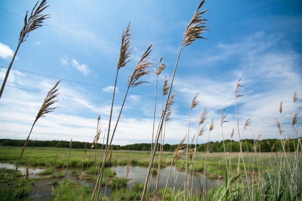 Cape Cod Rail Trails