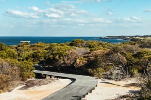 malabar headland walk